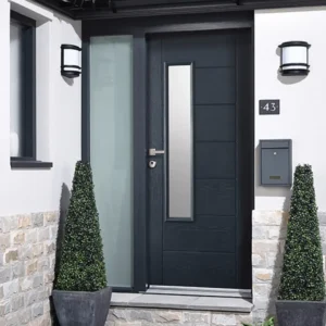 cat pintu warna hitam